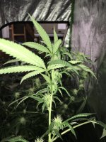 photo113962.jpg