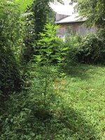 D94293C5-83D6-4F7F-A9CF-455039DF928F.jpeg