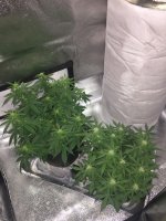 photo12206.jpg