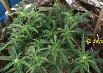 photo12283.jpg