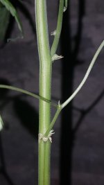 20170305_210519.jpg