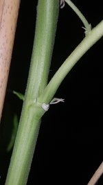 20170305_210158.jpg