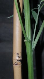 20170305_210025.jpg