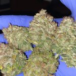 photo114857.jpg