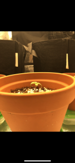 photo114972.png