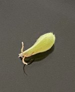 64A05E71-1D67-4891-A07B-65836DF6AB61.jpeg