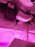 20200821_152103.jpg