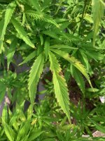 IMG_8019.jpg