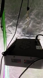1598898251456936652310224850193.jpg