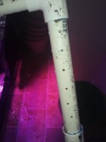 20200903_210438.jpg