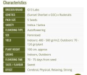 Screenshot_20200904-225636_Chrome.jpg