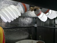 IMG_20200905_135015.jpg