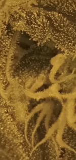 Screenshot_20200907-173801.png
