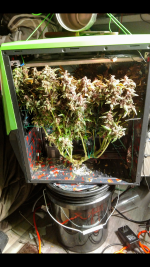 photo118107.png