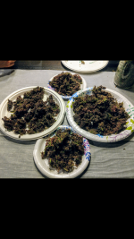 photo118112.png