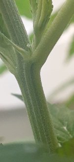 20200910_220913.jpg