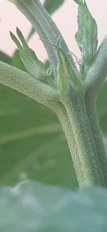 20200910_220421.jpg