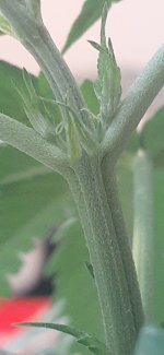 20200910_220407.jpg