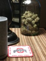 IMG_20200914_013915102.jpg