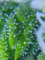 20200913_223826.jpg