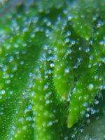 20200913_223821.jpg
