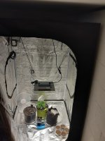 20200913_170503.jpg
