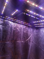 20200903_203706.jpg