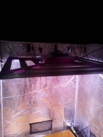 20200903_203727.jpg