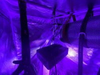 IMG_9964.JPG
