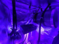 IMG_7308.JPG