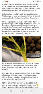 photo118533.png