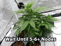 wait-until-5-6-nodes.jpg