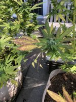 IMG_0771 2.jpeg