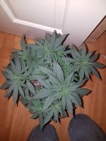 20200922_224603.jpg