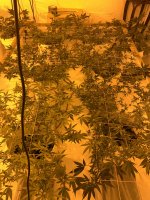 5A4AE06C-1DD1-475E-92FE-4E67679B5758.jpeg