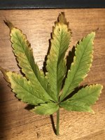 photo119628.jpg