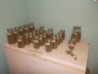 DSCN1477.JPG