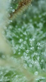 2020_09_27_13_07_58_507.png.jpg