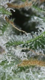 2020_09_27_14_07_10_657.png.jpg