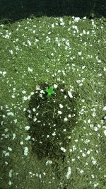photo120163.jpg