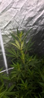 20201002_081148.jpg