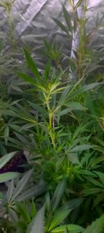 20201002_081325.jpg