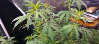 20201002_081410.jpg