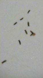 2020_10_02_17_33_19_156.png.jpg