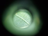 20201002_065000.jpg