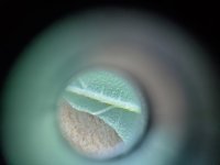 20201002_065046.jpg