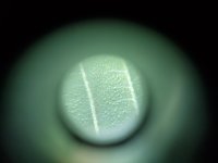 20201002_064938.jpg