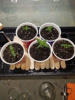 photo120512.jpg