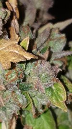 20201003_185418.jpg