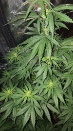 20201003_185117.jpg